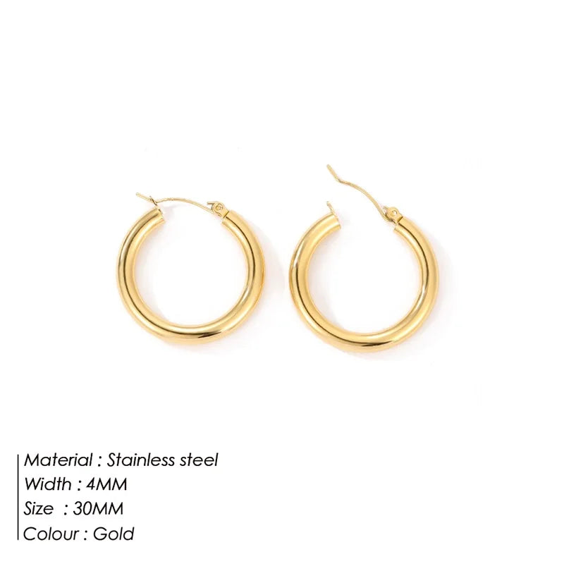 Luxe Circles Hoop Earrings Set